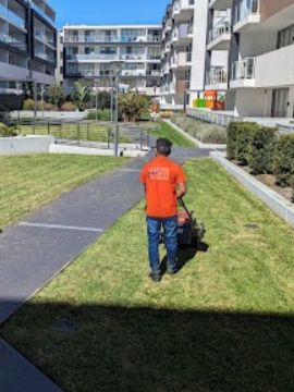 Garden Trimming